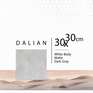 سرامیک دالیان طوسی تیره 30*30 خاک سفید