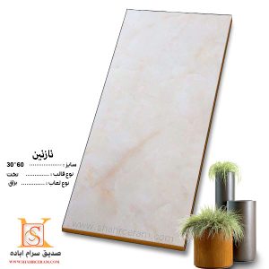 سرامیک نازنین صدیق سرام60*30