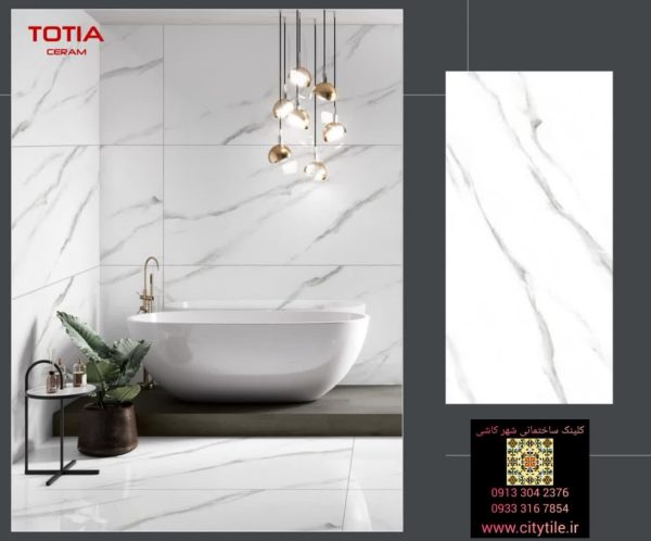 سرامیک اریکا 120*60 طوطیا براق مناسب برای بدنه و کف