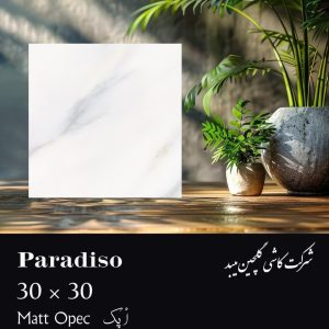 کاشی گلچین میبد سرامیک پارادایسو 30*30 مات