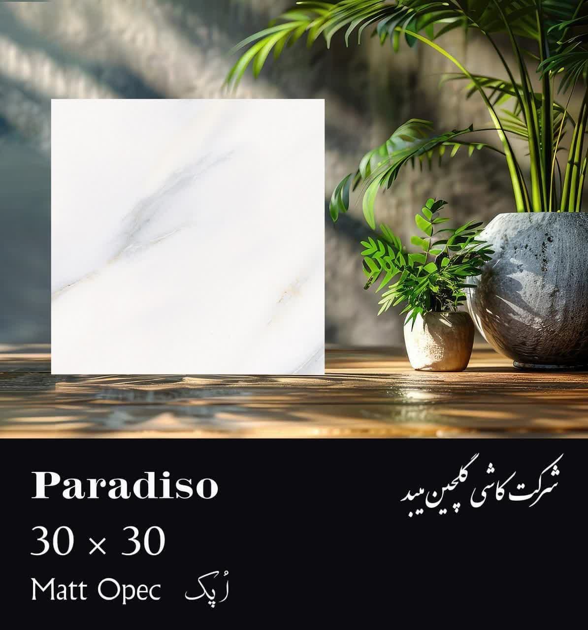 کاشی گلچین میبد سرامیک پارادایسو 30*30 مات