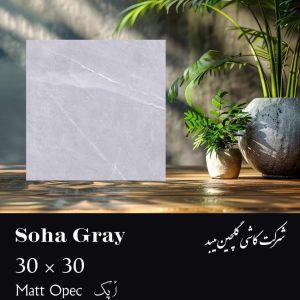 کاشی گلچین میبد سرامیک سوها خاکستری 30*30 مات