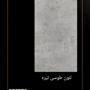 سرامیک خاطره طرح لئون طوسی تیره 120*60 مات