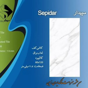 سرامیک صدف سرام طرح سپیدار 120*60 براق