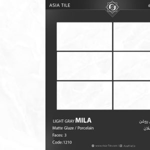 سرامیک آسیا طرح میلا 120*60 مات